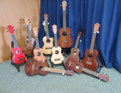 besondere Auswahl an Ukulelen
